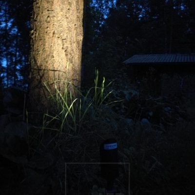 Led maavalo spike valaisemassa puuta. Valaisimessa riittää tehoa valaisemaan isotkin kohteet ulkona. Ledstore.fi